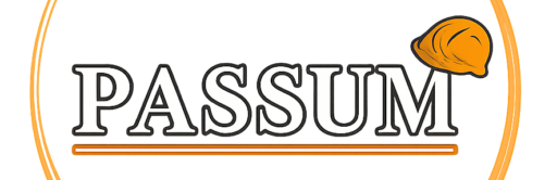 Distribuidora Passum